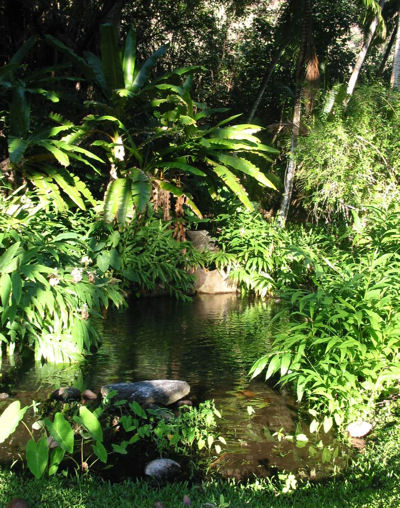 Baie Hanamenu (Hiva Oa) (Marquises)