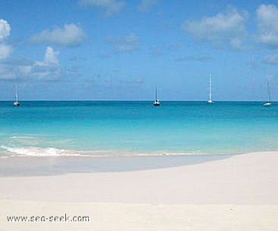 Cocoa Bay (Barbuda)