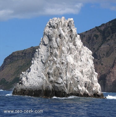 Wells Bay (Saba)