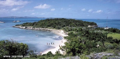 Great Bird Island (Antigua)