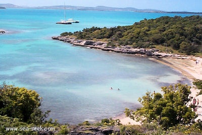 Great Bird Island (Antigua)