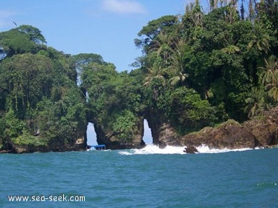 Great Bird Island (Antigua)