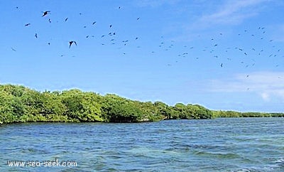 Low Bay (Barbuda)