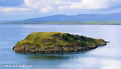 Maiden Island (Antigua)