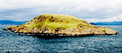 Maiden Island (Antigua)