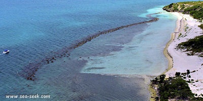 Maiden Island (Antigua)