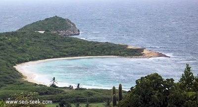 Marmora Bay (Antigua)