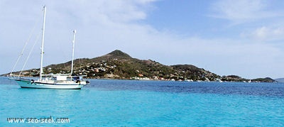 Petite Martinique Island (Carriacou)