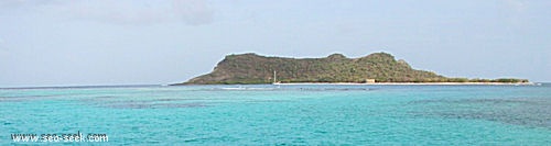 Saline island (Carriacou)