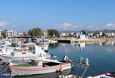 Port Néa Artaki Aghios Nikolaos (Evia) (Greece)