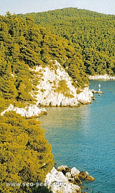 Ormos Staphylos (Skopelos) (Greece)