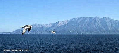 Nisos Samothraki (Greece)