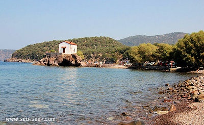 Skala Sikamineas (Lesvos) (Greece)