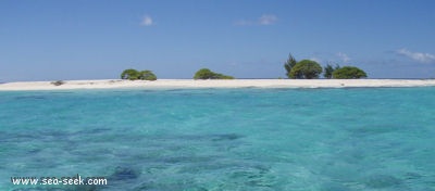 Île Motu One (Îles de la Société)