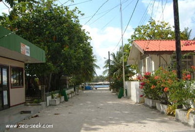 Paeua (Manihi) (Tuamotu)