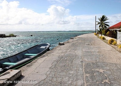 Paeua (Manihi) (Tuamotu)