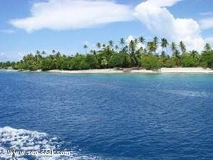 Atoll Apataki (Tuamotu) (Îles Palliser)