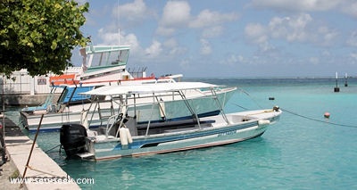 Port de Avatoru (Rangiroa) (Tuamotu)