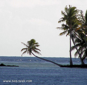 Passe Avatoru (Rangiroa) (Tuamotu)