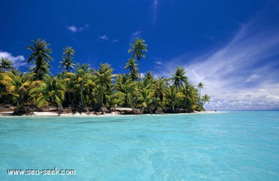 Atoll Fakarava (Tuamotu) (Îles Palliser)