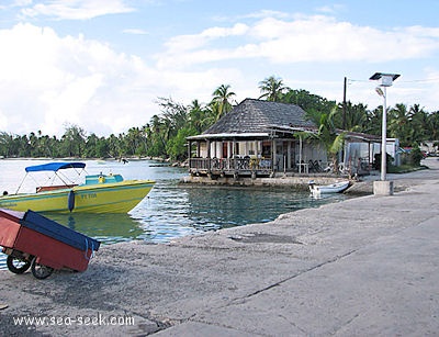 Hohotu (Rangiroa) (Tuamotu)