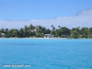 Tearavero (Kauehi) (Tuamotu   Îles Palliser)