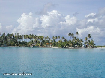 Maragai (Toau) (Tuamotu)