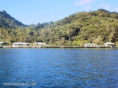 Baie de Maroe (Huahine Iti) (I. Sous Vent)