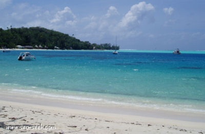 Pointe Matira (Bora Bora)