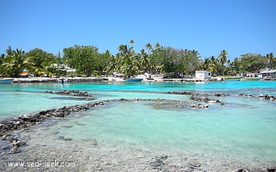 Motutapu (Raraka) (Tuamotu)