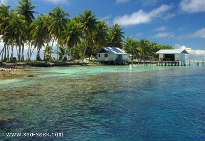 Niutahi (Apataki) (Tuamotu)