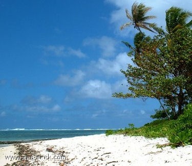 Baie de Parea (Huahine) (I Sous Vent)