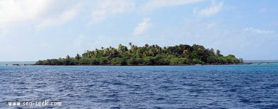 Puarua (Tikehau) (Tuamotu)