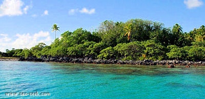 Puarua (Tikehau) (Tuamotu)