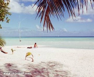 Motu Tapu (Bora Bora) (I. Sous Vent)