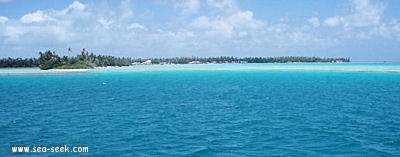 Tearavero (Kauehi) (Tuamotu   Îles Palliser)