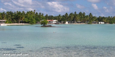 Tearavero (Kauehi) (Tuamotu   Îles Palliser)