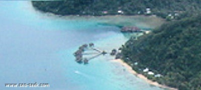 Baie Tehou (Toopua) (Bora Bora) (I. Sous Vent)