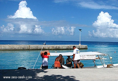 Marina de Tiputa (Rangiroa) (Tuamotu)