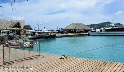 Port de Vaitape (Bora Bora) (I. Sous Vent)