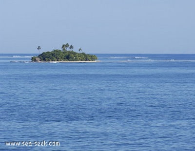 Motu Aau (Martin) (Tahiti) (I. Société)