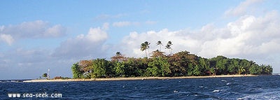 Motu Aau (Martin) (Tahiti) (I. Société)