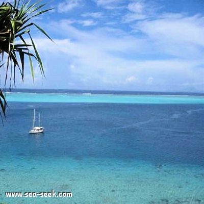 Baie de Apu (Tahaa) (I. Société)