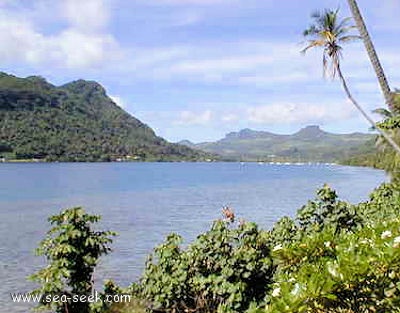 Baie de Faaroa (Raiatea) (I. Société)