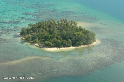 Baie de tetooroa (Raiatea) (I. Société)