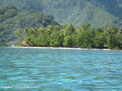 Baie de tetooroa (Raiatea) (I. Société)