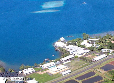 Baie de Vairao (Tahiti) (I. Société)