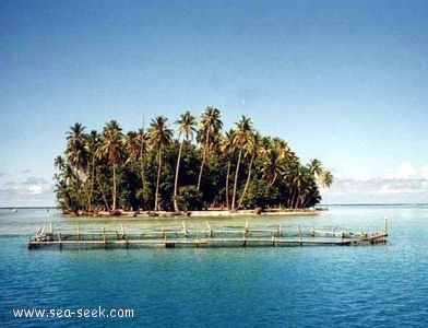 Motu Iriru (Raiatea) (I. Société)