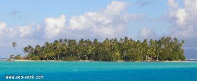 Motu Mahaea (Tahaa) (I. Société)