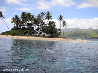 Motu Nono (Tahiti) (I. Société)